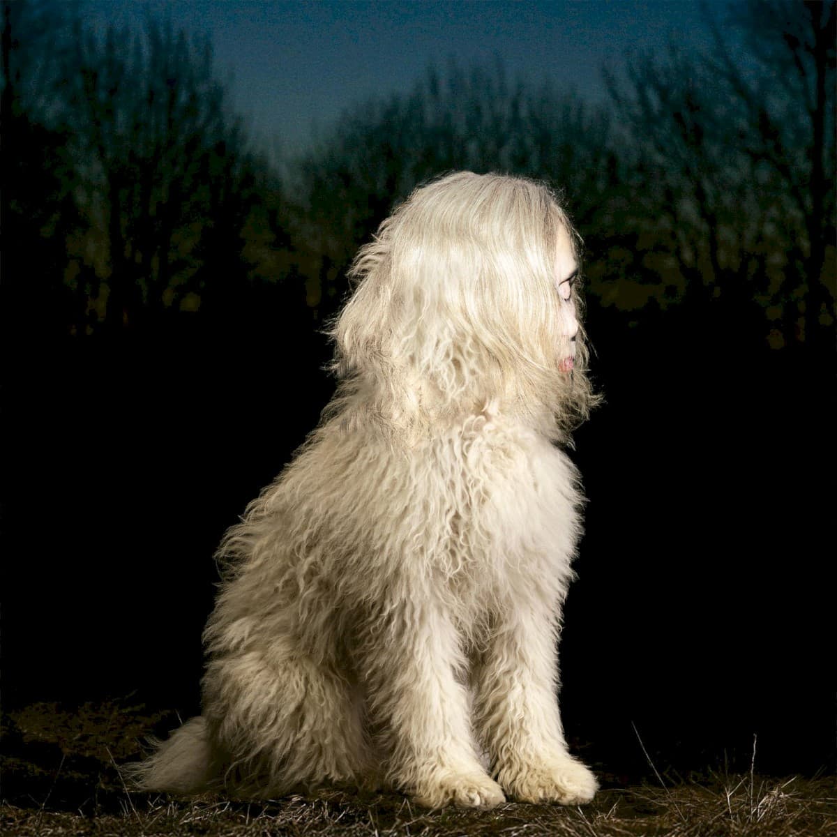 Doga by Juana Molina